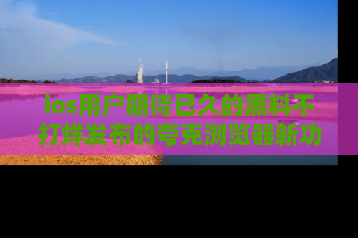 ios用户期待已久的黑料不打烊发布的夸克浏览器新功能上线啦！