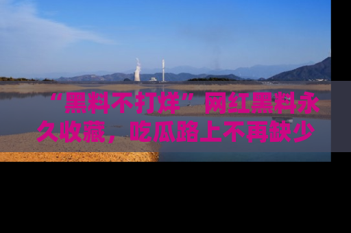 “黑料不打烊”网红黑料永久收藏，吃瓜路上不再缺少惊喜与乐趣
