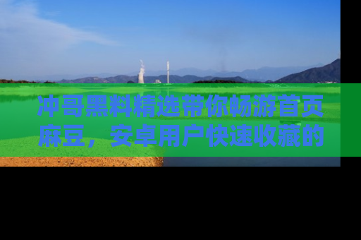 冲哥黑料精选带你畅游首页麻豆，安卓用户快速收藏的秘密武器！
