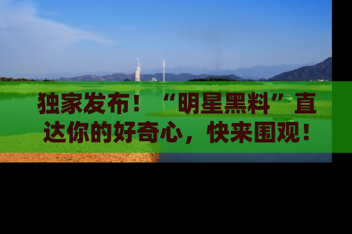 独家发布！“明星黑料”直达你的好奇心，快来围观！
