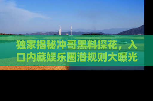独家揭秘冲哥黑料探花，入口内藏娱乐圈潜规则大曝光