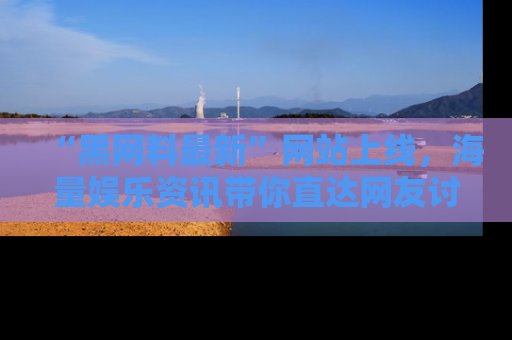 “黑网料最新”网站上线，海量娱乐资讯带你直达网友讨论的中心！