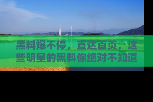 黑料爆不停，直达首页，这些明星的黑料你绝对不知道！