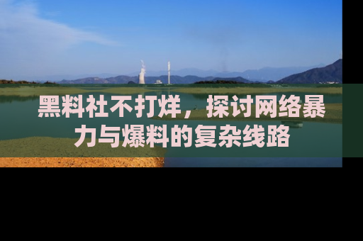 黑料社不打烊，探讨网络暴力与爆料的复杂线路