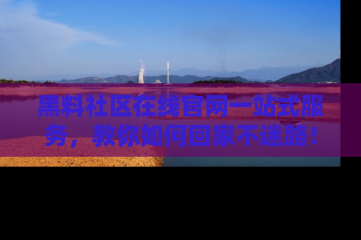 黑料社区在线官网一站式服务，教你如何回家不迷路！