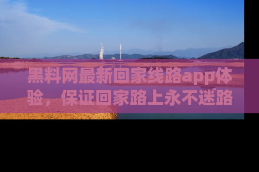 黑料网最新回家线路app体验，保证回家路上永不迷路顺畅