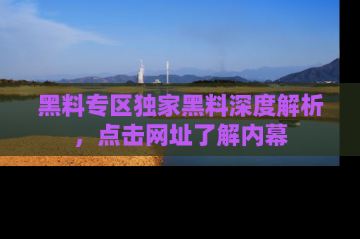 黑料专区独家黑料深度解析，点击网址了解内幕