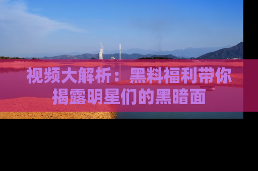 视频大解析：黑料福利带你揭露明星们的黑暗面