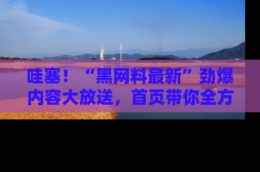 哇塞！“黑网料最新”劲爆内容大放送，首页带你全方位了解哦，小可爱们