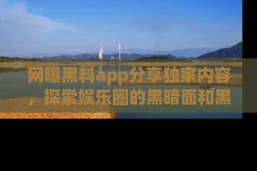 网曝黑料app分享独家内容,探索娱乐圈的黑暗面和黑料