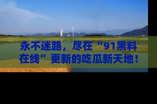 永不迷路，尽在“91黑料在线”更新的吃瓜新天地！