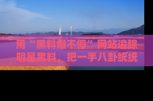 用“黑料爆不停”网站追踪明星黑料，把一手八卦统统收进你的后宫中！