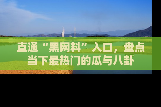 直通“黑网料”入口,盘点当下最热门的瓜与八卦